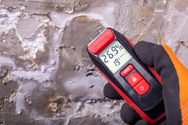 Best Residential Mold Removal  in Miami Beach, FL