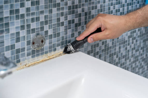 Best Certified Mold Removal  in Miami Beach, FL