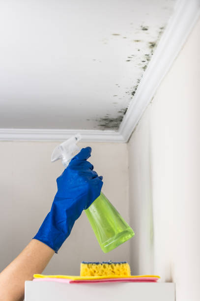Crawl Space Mold Removal in Miami Beach, FL